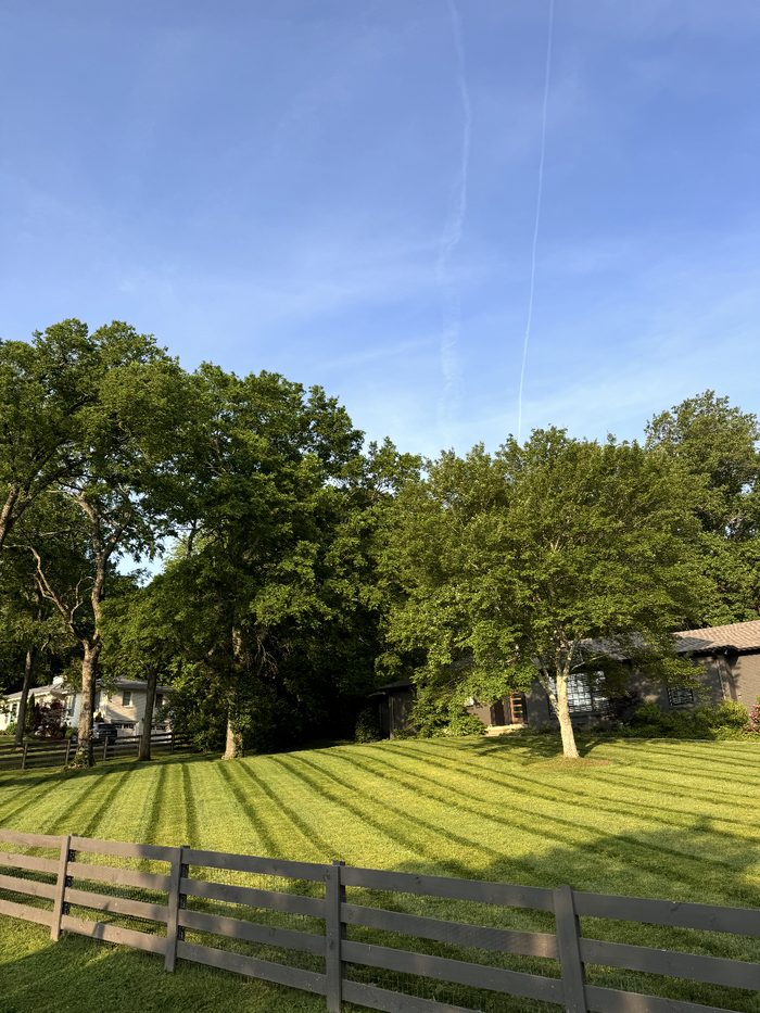 12 South by Bryan Lawn Care in Nashville, TN