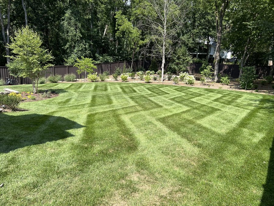 Sylvan Park by Bryan Lawn Care in Nashville, TN