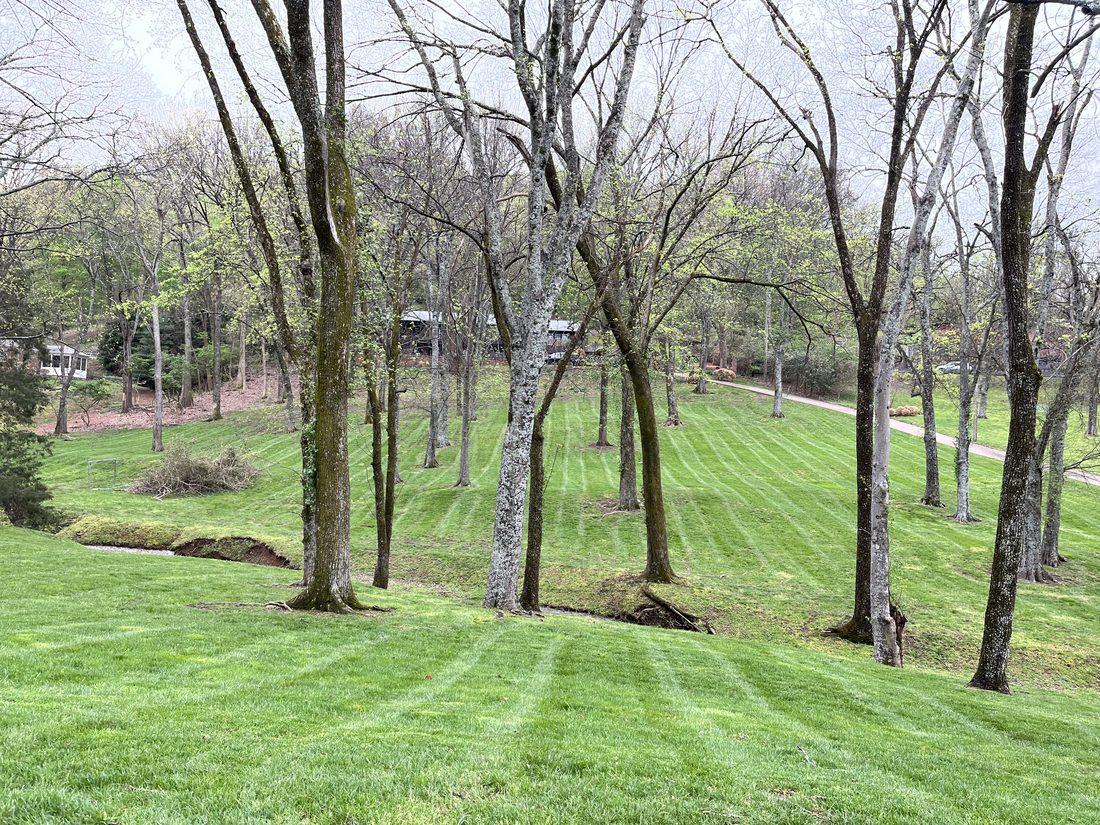 Fertilization & Weed Control in Nashville