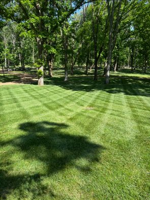 Lawn Mowing detail