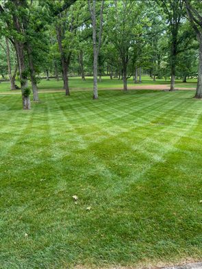 Lawn Mowing project in Nashville