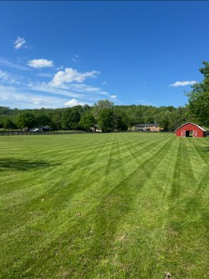 Fertilization & Weed Control detail