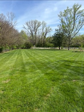 Aeration & Overseeding detail