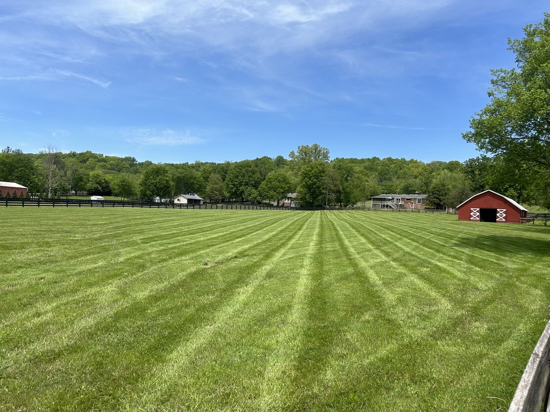 Fall & storm cleanups that keep grass healthy in Nashville, TN by Bryan Lawn Care