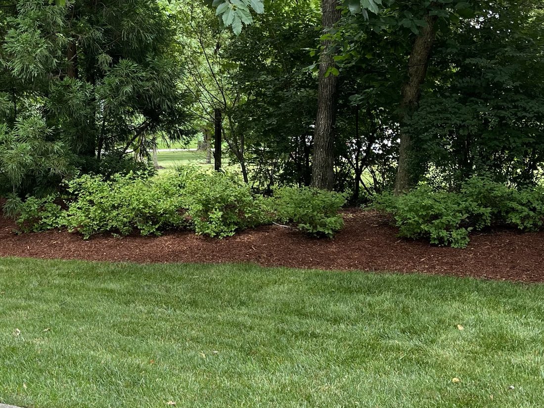 Lawn Maintenance in Nashville