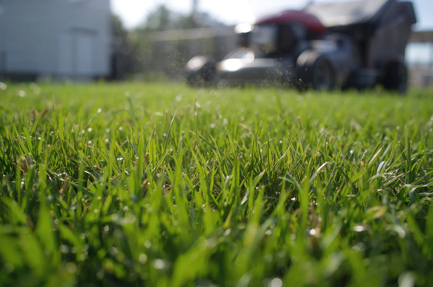 Lawn Mowing details in Nashville, TN