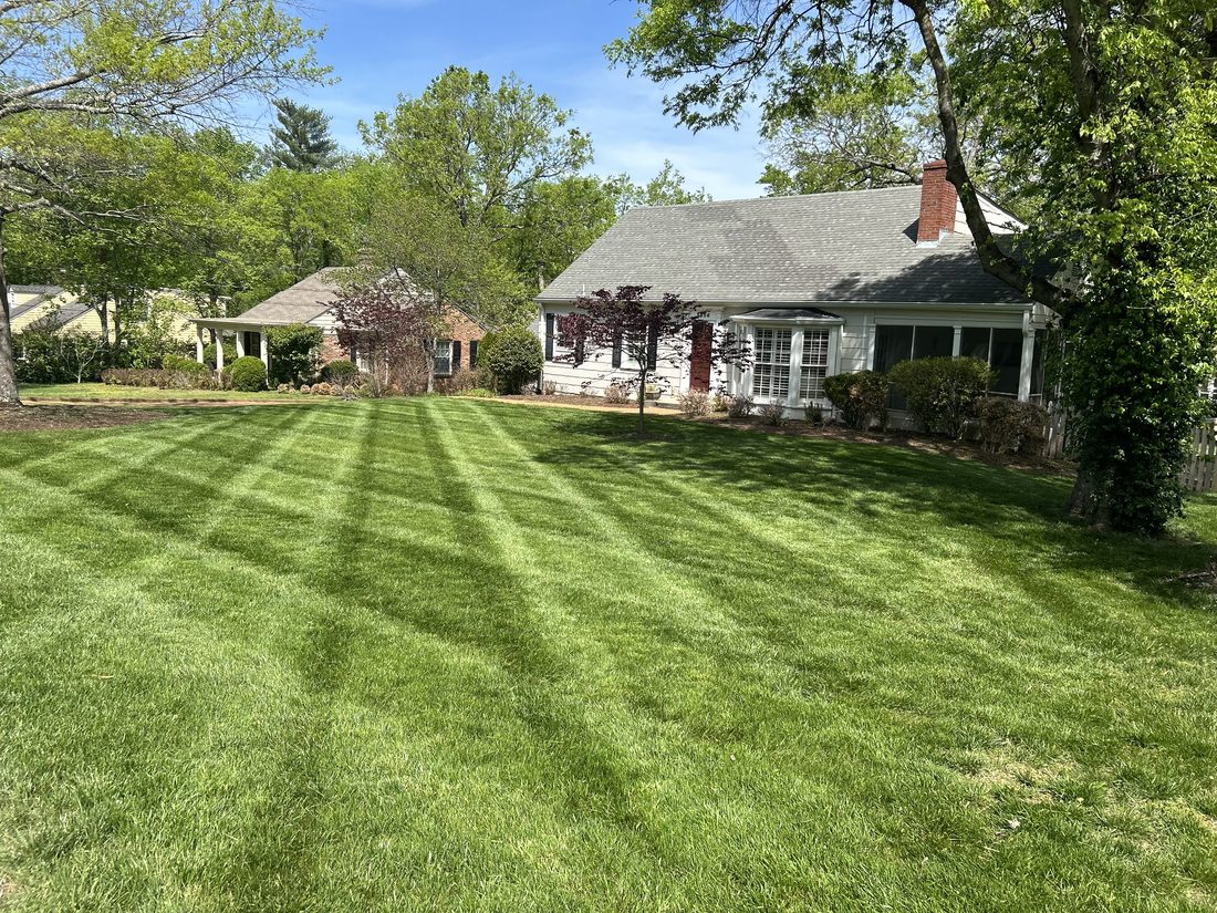 Lawn Mowing in Nashville